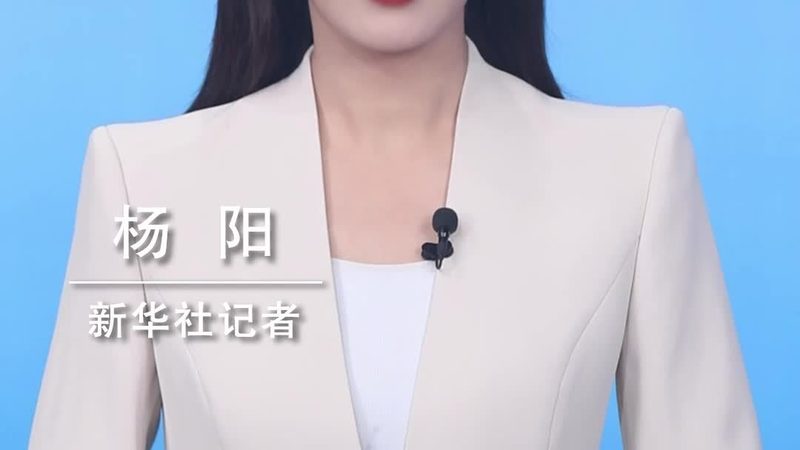 从数据工程师到架构师的能力跃迁路径